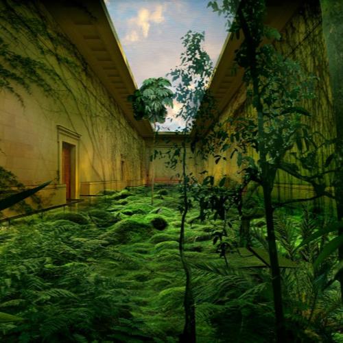 Climate crisis: how museums could inspire radical action